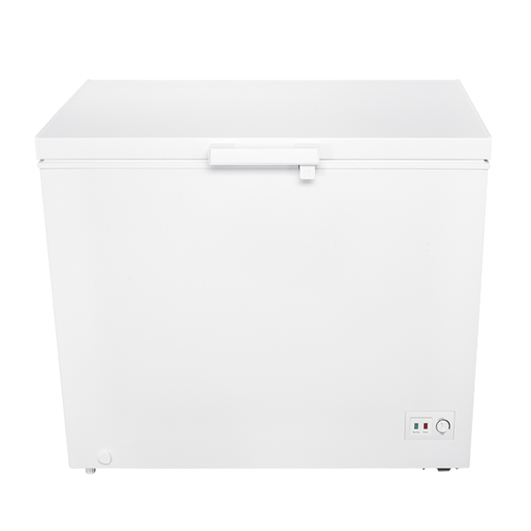 【TECO東元】臥式冷凍櫃 300L