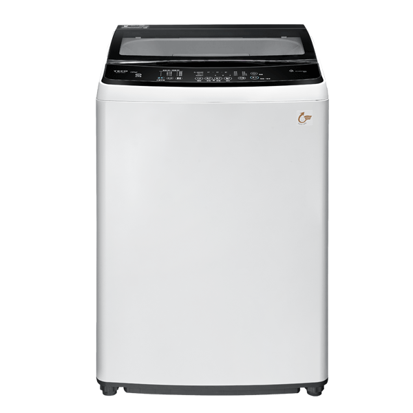 【TECO東元】變頻洗衣系列 15KG