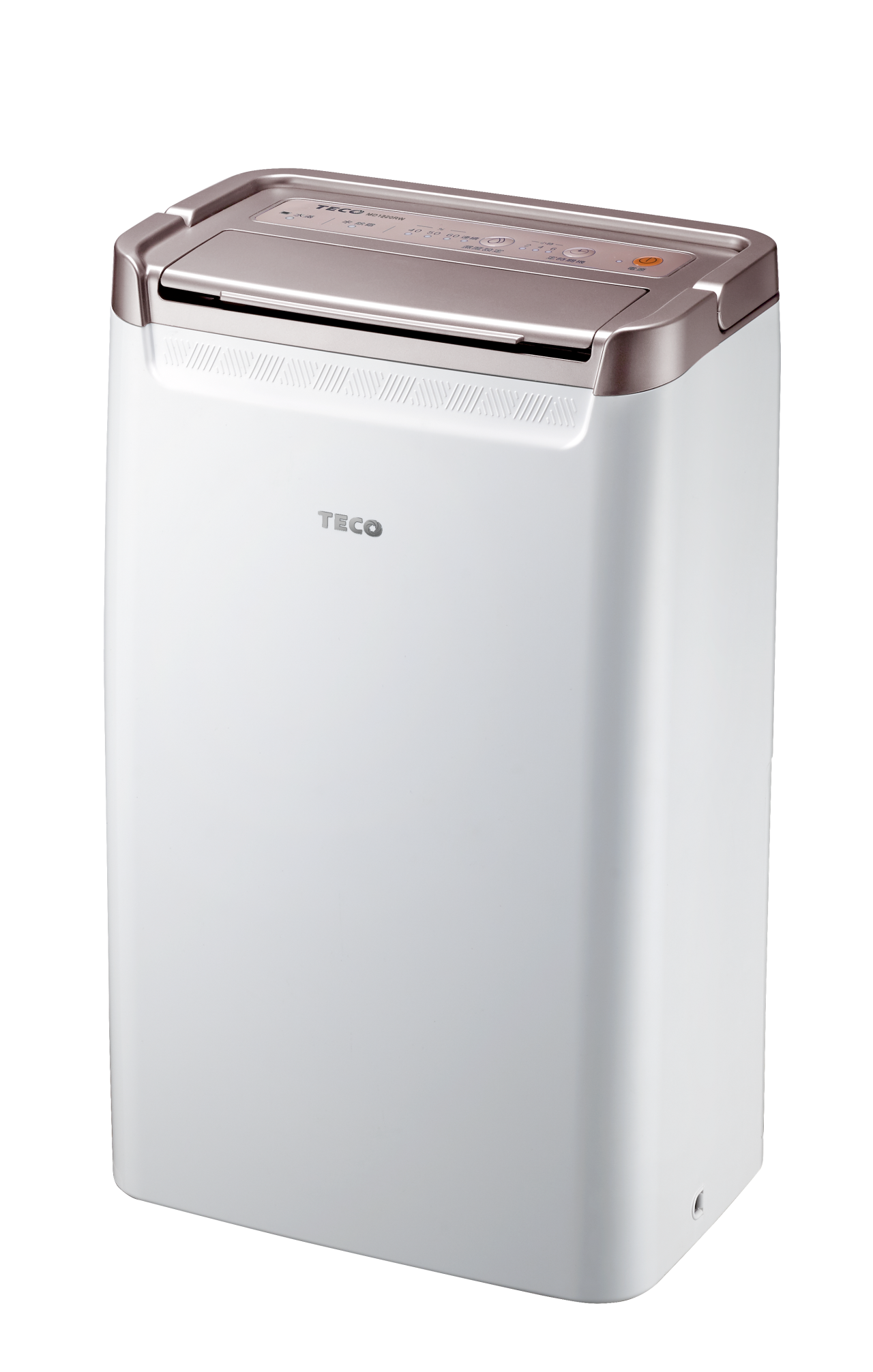 【TECO東元】迴轉式除濕機 6L