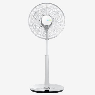 【CHIMEI奇美】桌立扇 電風扇 16吋