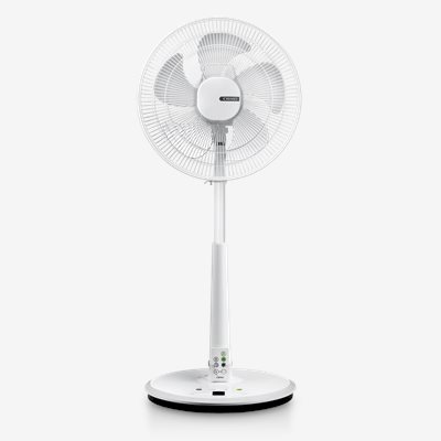 【CHIMEI奇美】桌立扇 電風扇 14吋