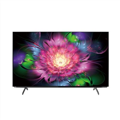 【SAMPO聲寶】55型4K OLED轟天雷連網智慧顯示器