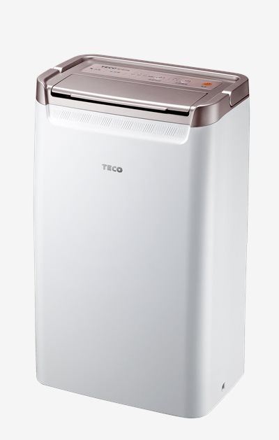 【TECO東元】迴轉式除濕機 6L