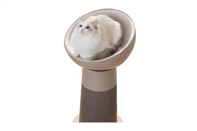 【LG樂金】AeroCatTower 空氣清淨機｜喵太座